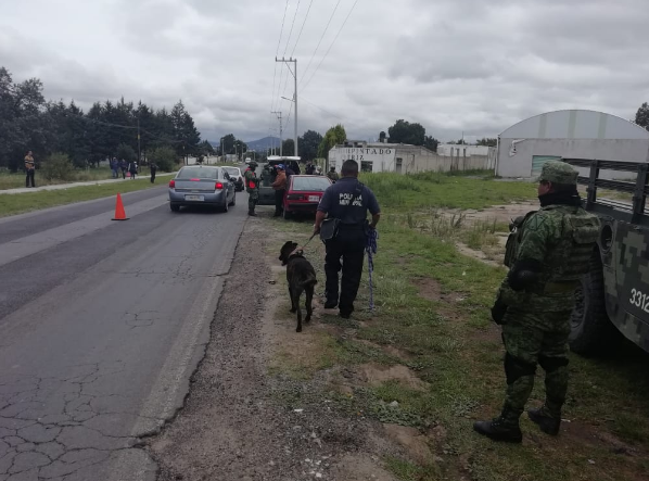Realiza el ejército operativo contra armas y droga en Tzompantepec